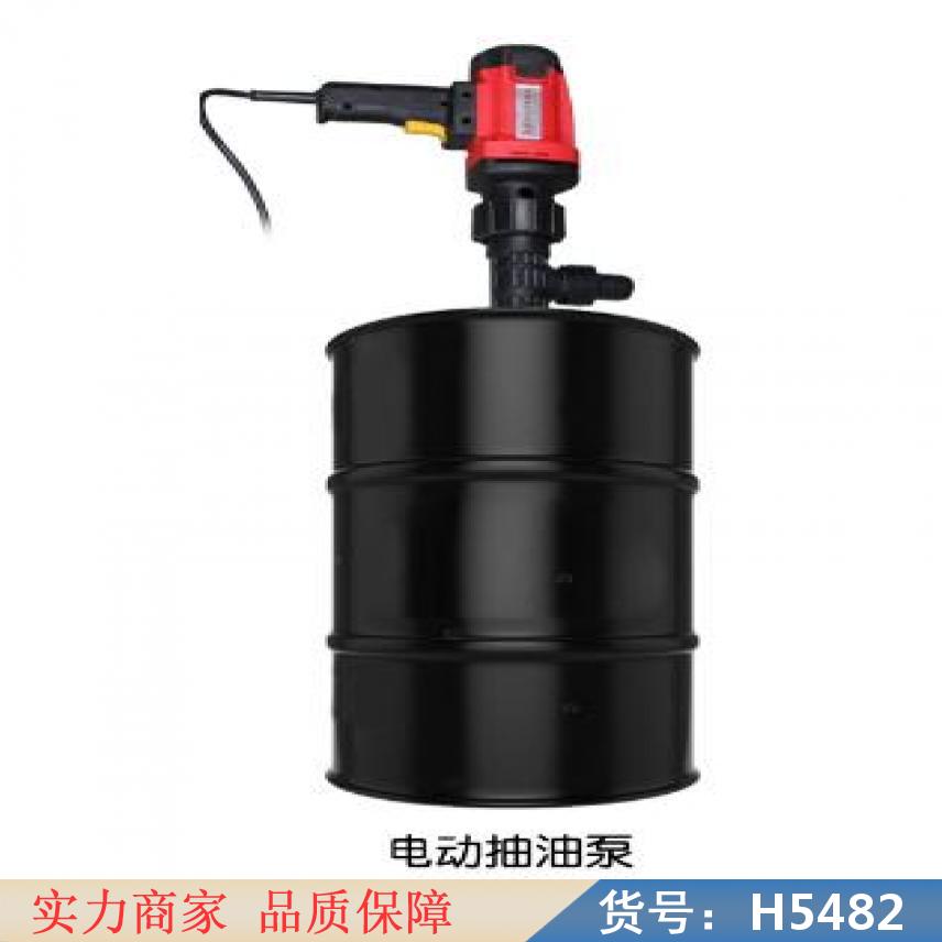 智众电动抽油泵抽汽油 小型24伏电动抽油泵 220v大功率电动抽货号H5482