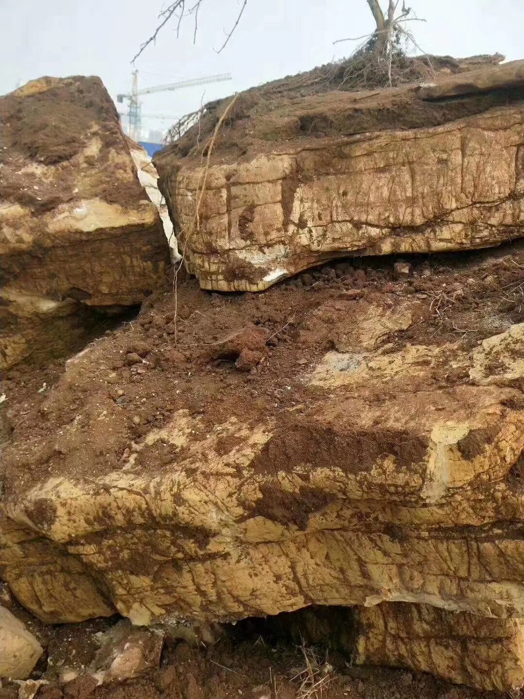  质量好 万吨园林石景观石 千层石龟纹石产地批发 欢迎来厂考察