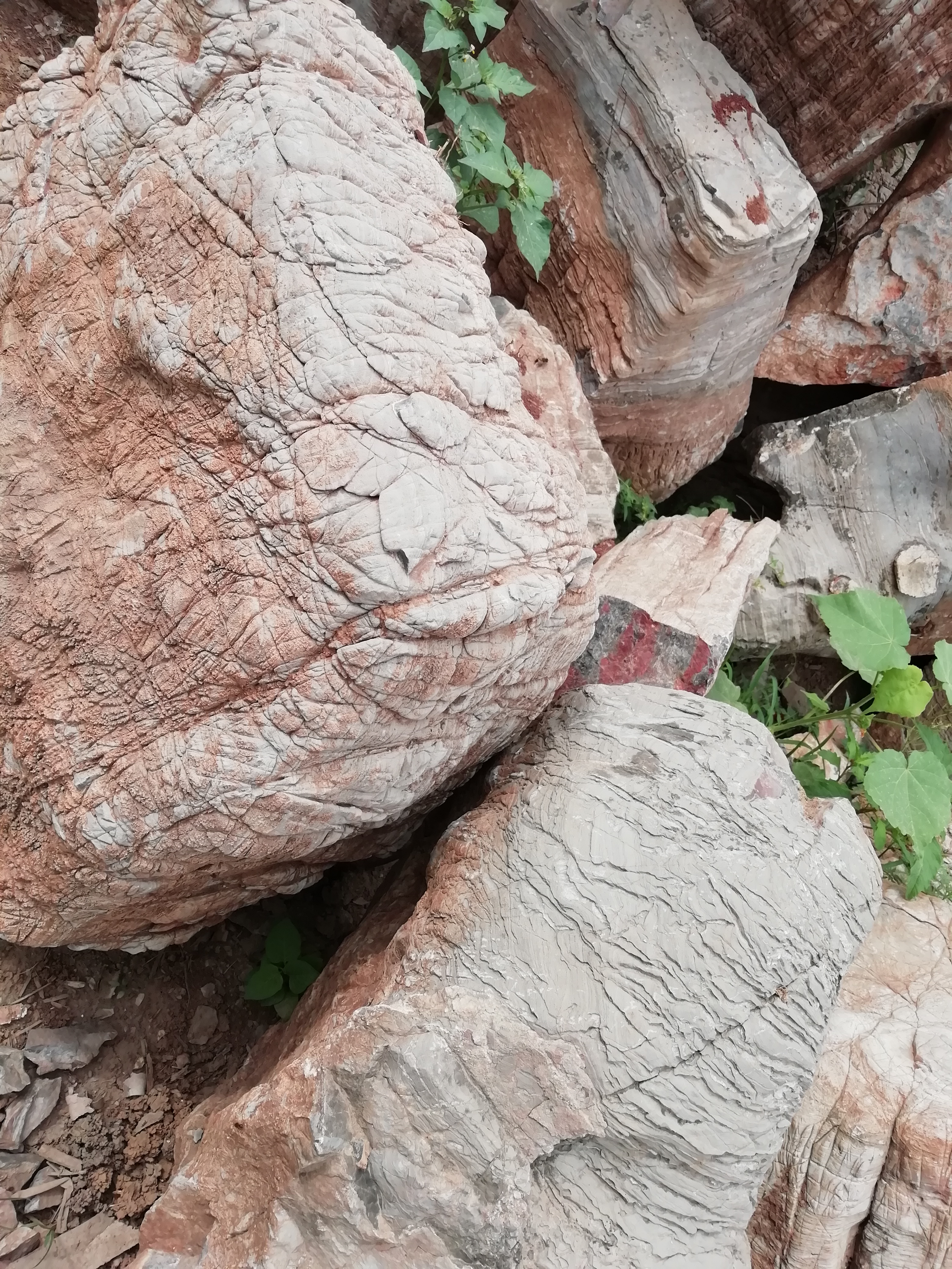 万吨景观石千层石龟纹石产地批发 磬航 品质保障 河滩 供应 浙江