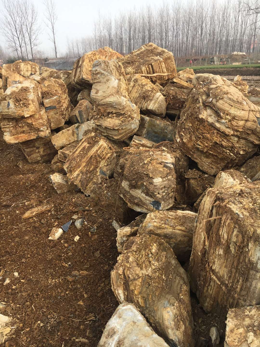 万吨龟纹石千层石产地批发 页岩石太湖石 青千层石 黑千层石 白千层石