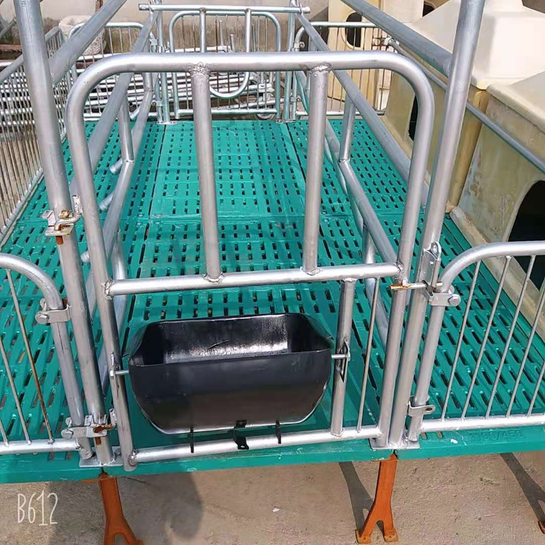 母猪产床复合两用大猪用限位栏 仔猪分娩床 猪用单体产床欢迎来电