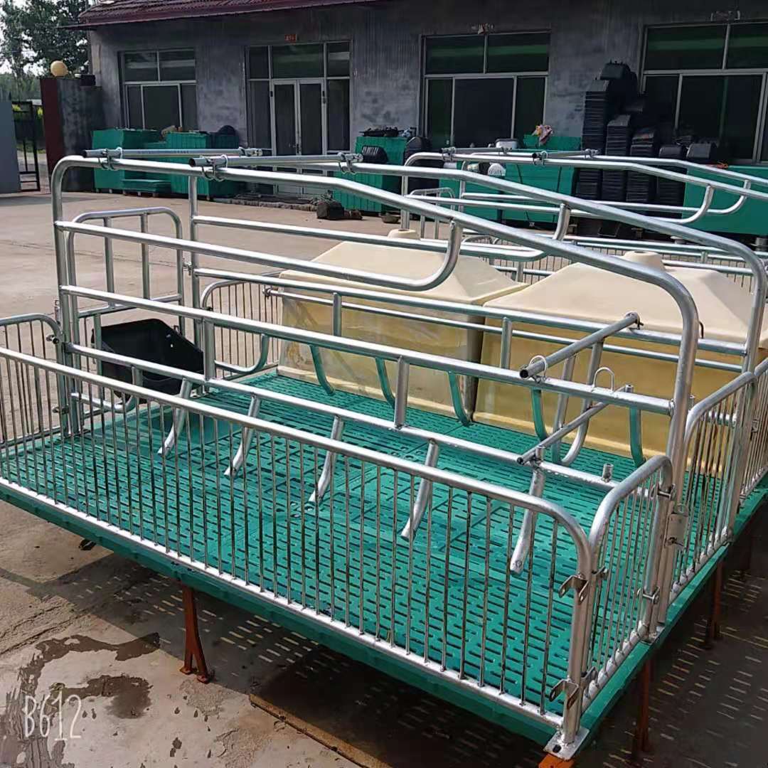 现货销售 复合板两用产保一体母猪产床限位栏 全复合仔猪保育床 