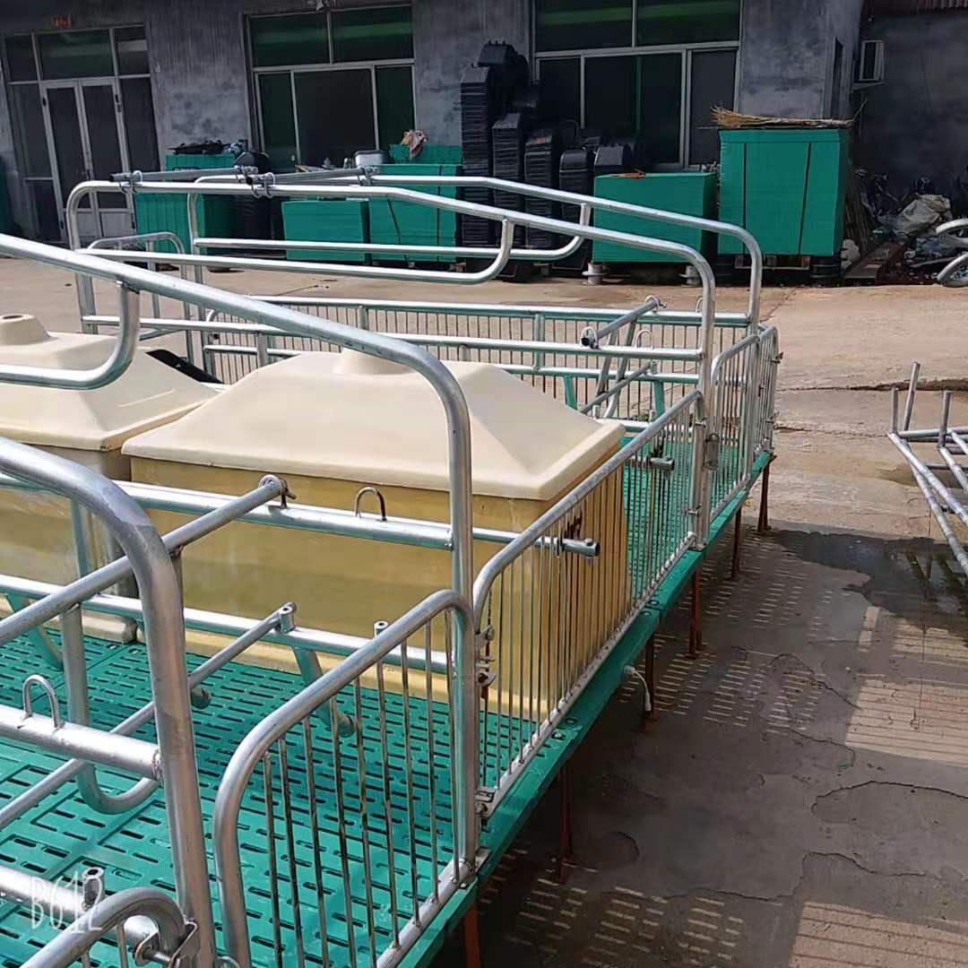  母猪产保一体分娩床复合漏粪板猪用限位栏 加厚小猪保育床 
