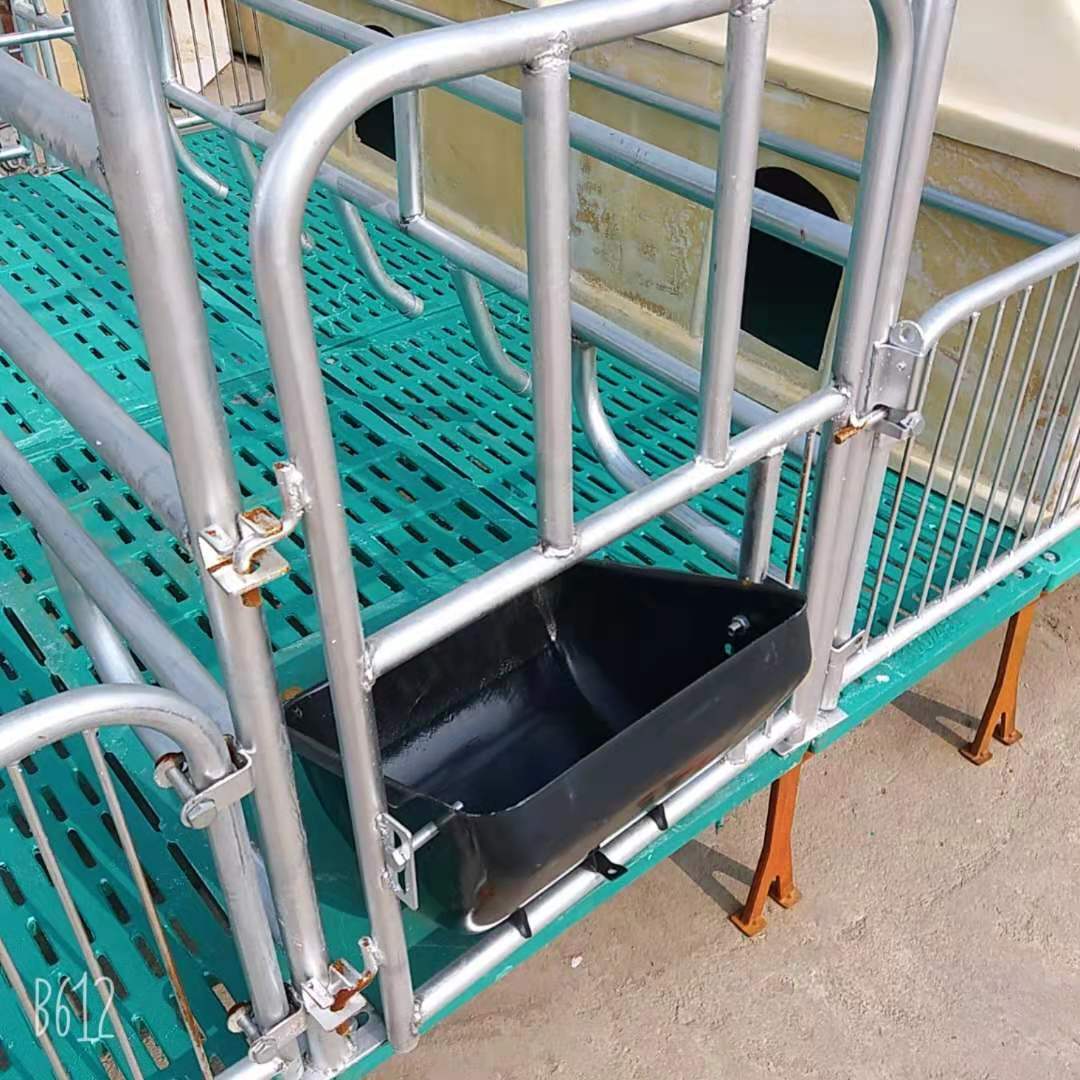 母猪产床产保一体复合两用保育床 大猪用限位栏 仔猪分娩床 欢迎来电