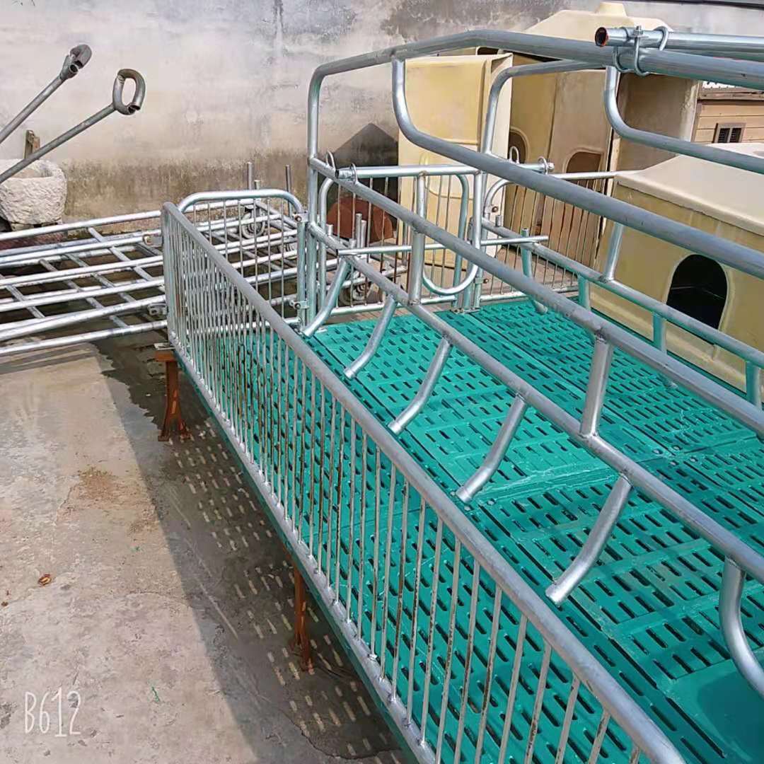 母猪产床 加厚仔猪保育栏 漏粪板猪用猪分娩床 仔猪栏养猪厂设备