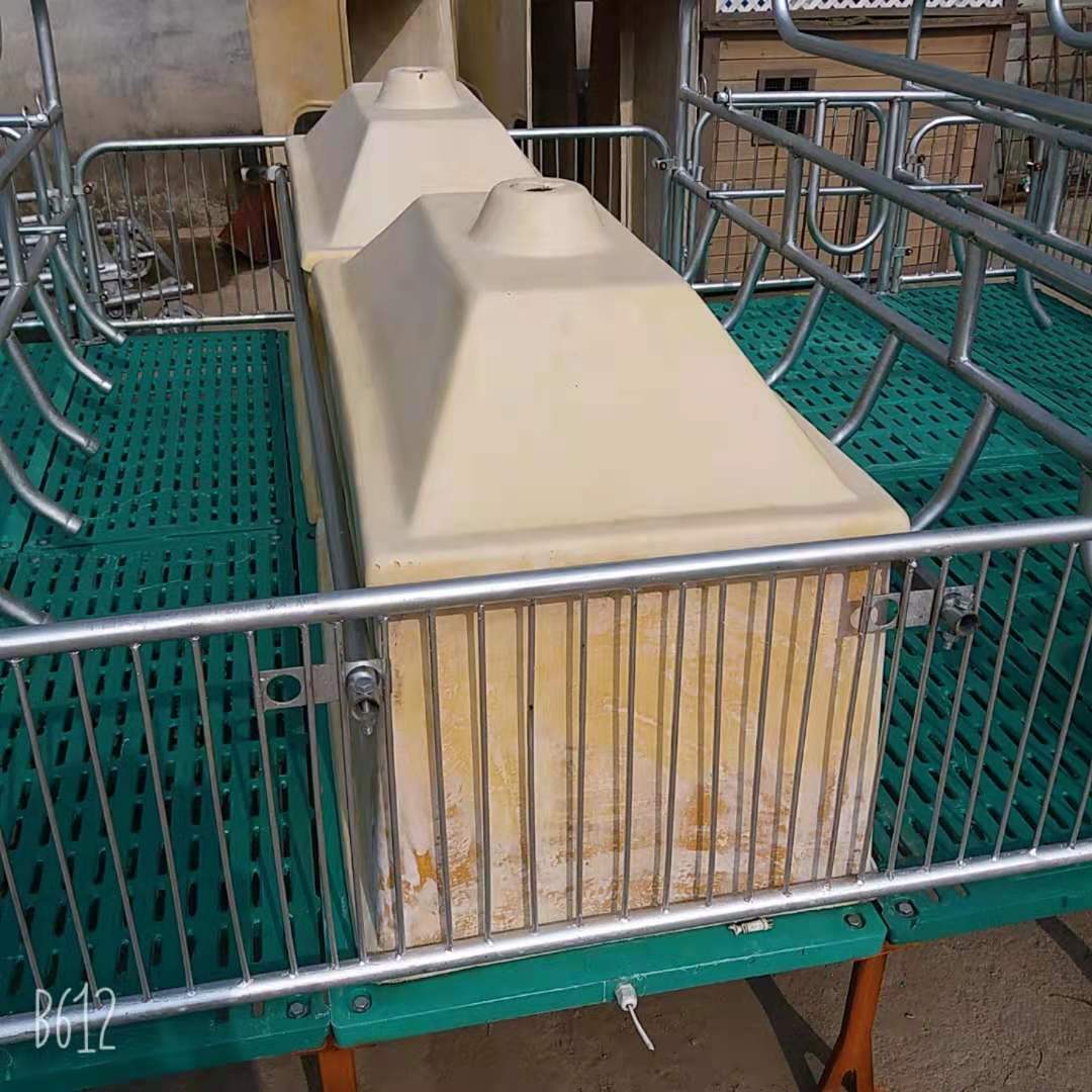 厂家出售产保一体复合板仔猪保育床欧式母猪分娩床 母猪限位栏
