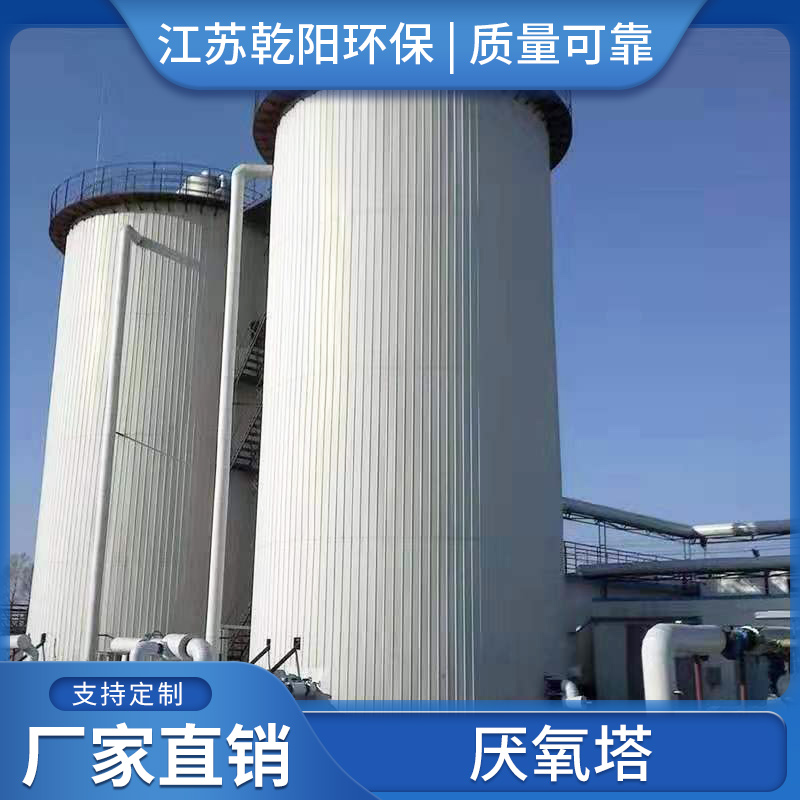 生产加工IC厌氧塔 IC厌氧反应器 高浓度酒精废水厌氧反应处理设备