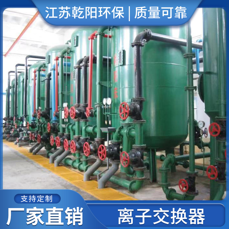 厂家离子交换器 离子交换柱 阴阳离子树脂交换器 加工订制