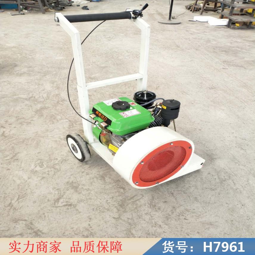 中德吹路面用的吹风机 大功率吹风机 工地用吹风机货号H7961