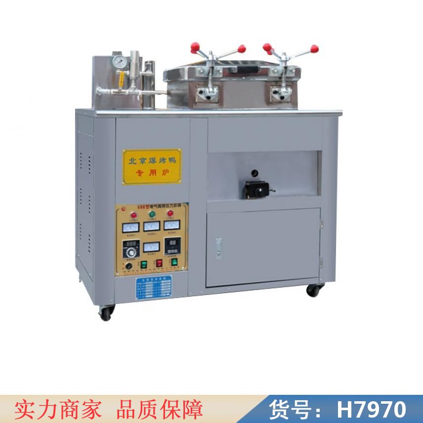 中德高压电炸锅 自动控温炸鸭炉 香酥鸡炸炉货号H7970