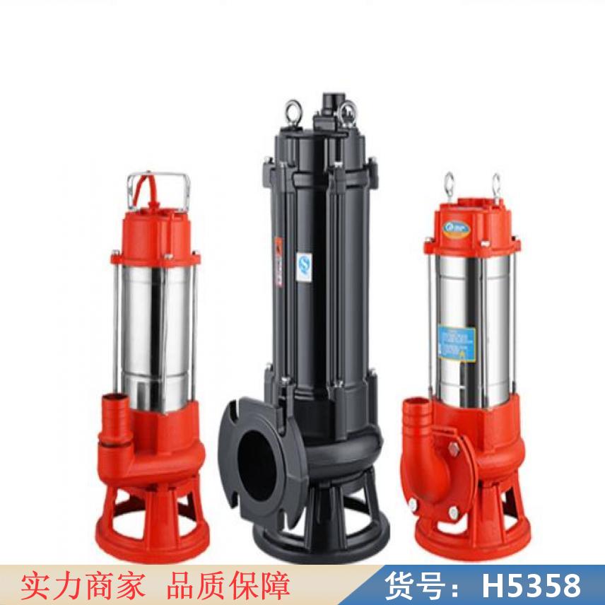 中德离心式排污泵 直立式排污泵 矿用排污泵货号H5358