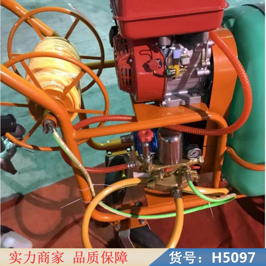 中德微型喷雾器 新型电动喷雾器 电动背负式喷雾器货号H5097