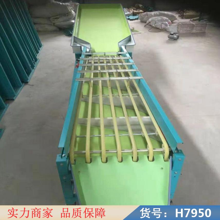 中德绿盟选果机 小型柠檬选果机 小型苹果选果机货号H7950