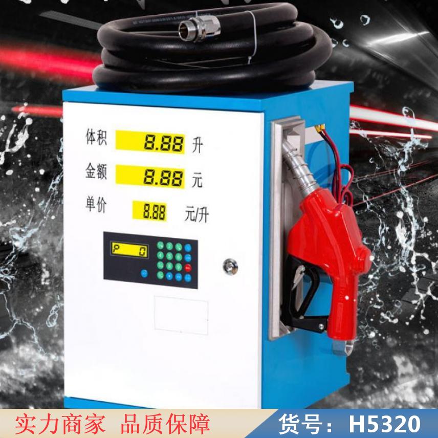 智众十二伏小型柴油加油机 柴油车载加油机 电动柴油数显式加油机货号H5320