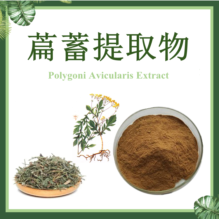 萹蓄提取物 10:1 萹竹提取物 竹节草提取物