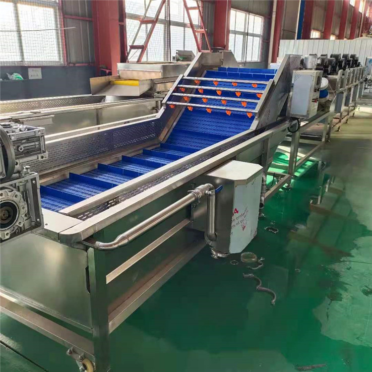 连续式西蓝花清洗机 净菜加工设备生产厂家 商用型气泡清洗机价格