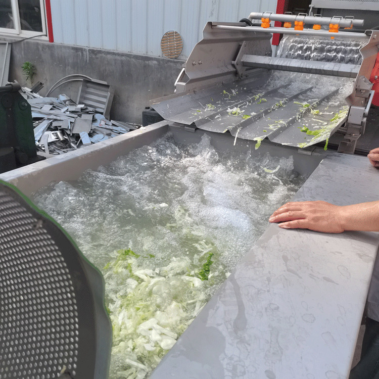 商用涡流果蔬清洗机厂家出售  可按需定制  果蔬涡流震动清洗设备