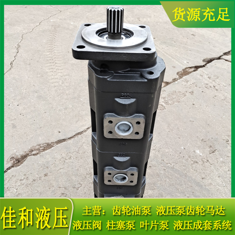 中联重科25V5吊车四联泵厂家供应 1010000526 佳和液压