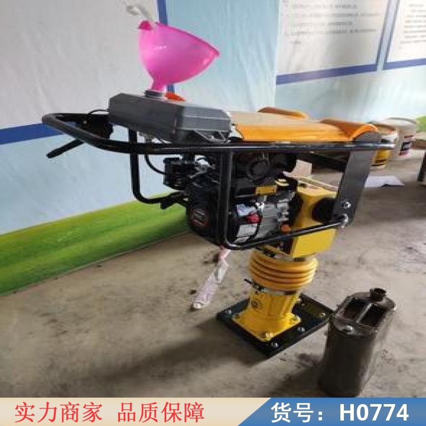 中德振动打夯机 电动平板打夯机 汽油四冲程打夯机货号H0774