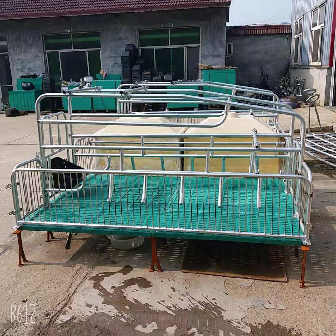 母猪产床保育两用双体产床分娩仔猪栏母猪限位栏养殖设备