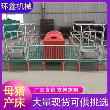 环鑫机械 母猪产床 养殖场双体复合板产床 母猪分娩床 厂家批发