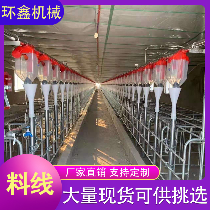 养殖料线 自动上料系统 全自动喂料料线厂家报价