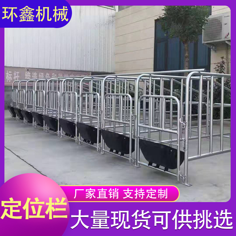  限位栏 母猪限位栏 产床定位栏