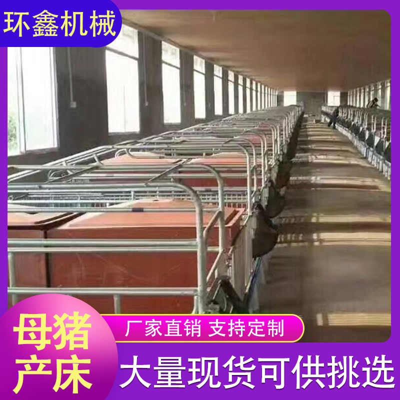环鑫机械 母猪产床 全复合双体母猪产床 铸铁猪用产床养殖设备 全国发货