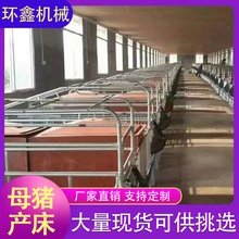 环鑫机械 双体母猪产床 欧立一拖二产保一体产床 厂家批发