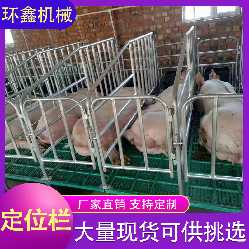 母猪定位栏 定位栏 限位栏