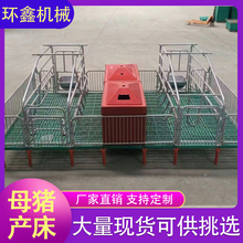 环鑫机械 产保一体床 双体母猪产床 新型欧式产仔床 大量现货