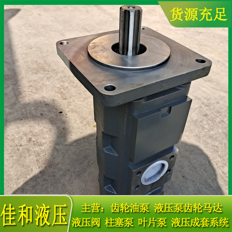 中联吊车液压泵供应 1010000007三联齿轮油泵