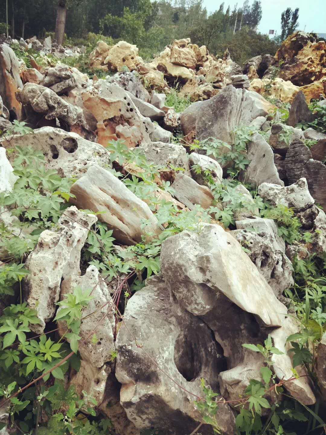 万吨千层石龟纹石太湖石产地批发 太湖石假山 太湖石价格 太湖石定制