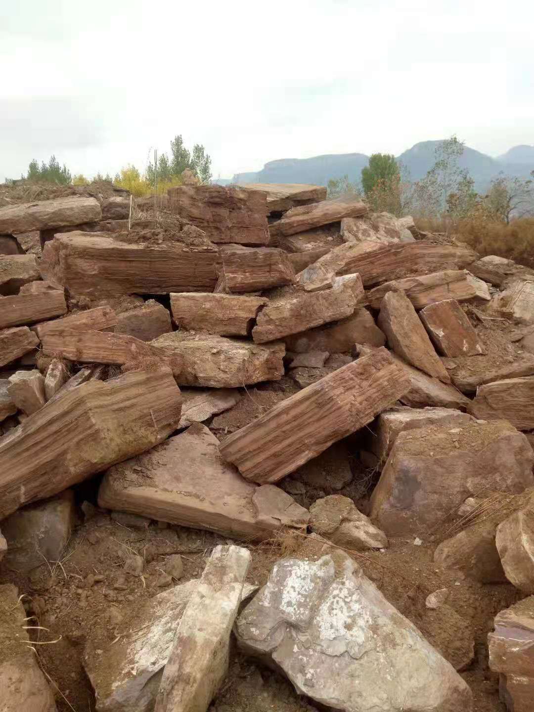 批发万吨千层石龟纹石产地批发 安徽瑶海区现货供应 假山工程 千层石批发