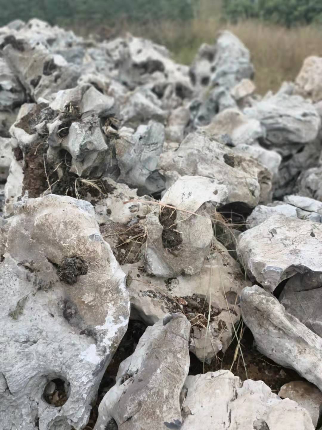 万吨太湖石 千层石龟纹石产地批发 园林石景观石 绵羊石 草坪石 刻字石 门牌石批发