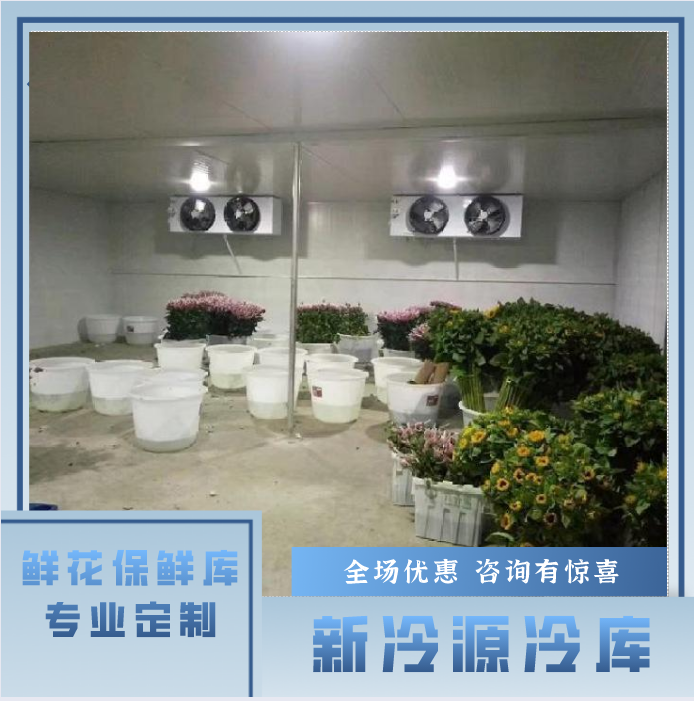西安冻肉冷库安装厂家  大型冷库公司  新冷源制冷  专业定制各类冷库