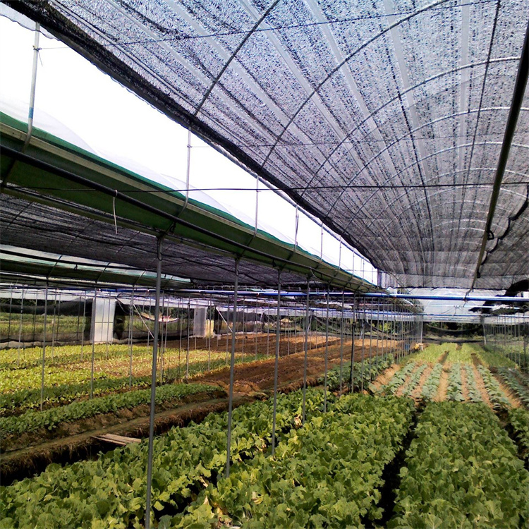 农业蔬菜薄膜温室 连栋薄膜温室工程 北方薄膜温室造价