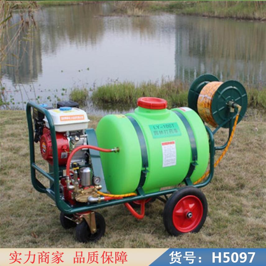 中德臭氧喷雾器 汽油手推式喷雾器 160L手推式喷雾器手推式不锈货号H5097