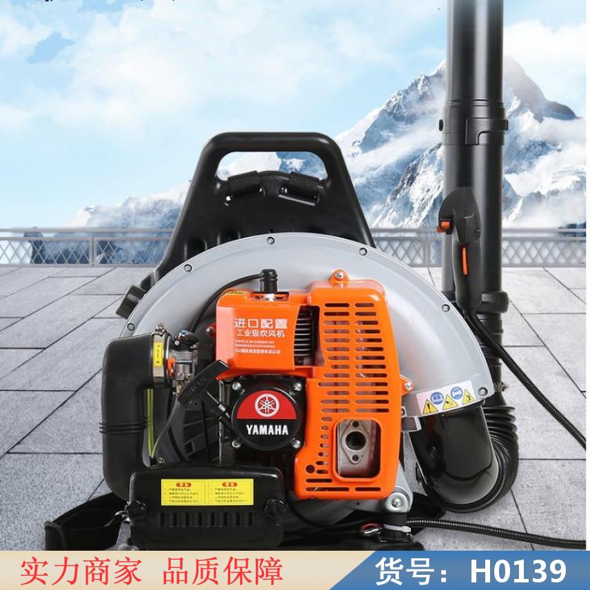 中德背负式细水雾灭火器 便携式风水灭火机 手提式风力灭火机货号H0139