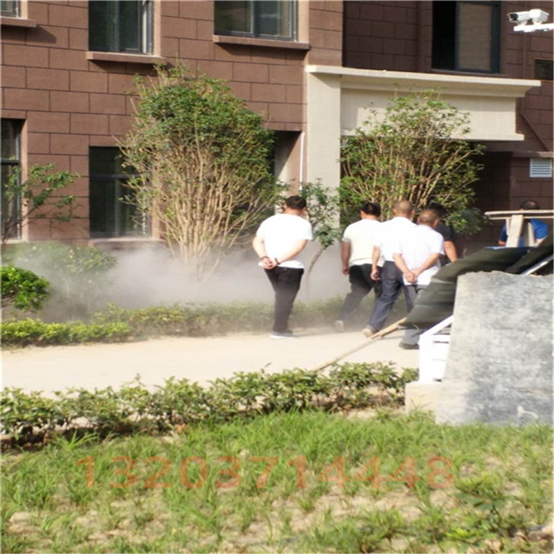 私家花园设计 喷雾景观设备详细图