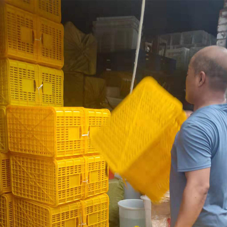 通用水果筐 蔬菜大筐 生鲜食品大筐厂价直销