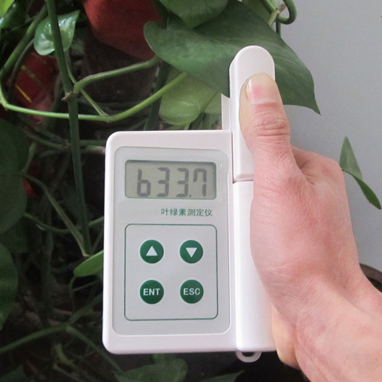 植物叶绿素相对含量与绿色程度检测仪 宏创 HC-Y100叶绿素测定仪