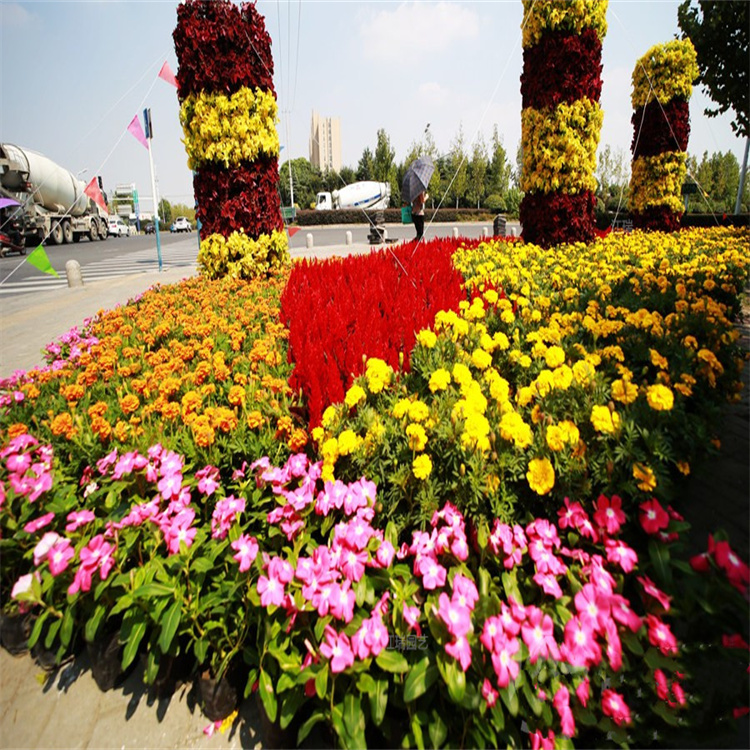 组摆市政绿化花卉供应 厂区节日摆放花卉设计 江瑞