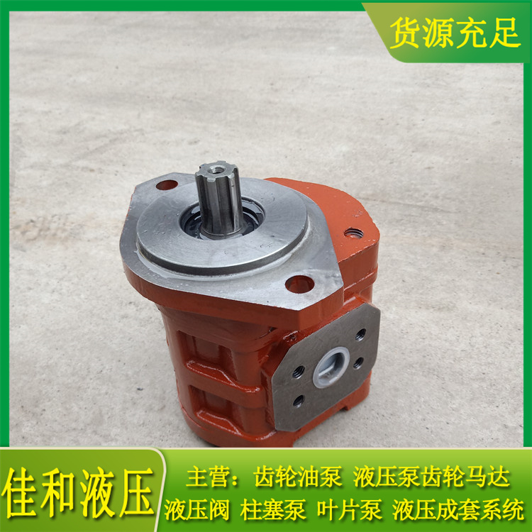 临工压路机液压泵 CBGJ1025R 青州佳和液压供应