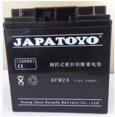 TOYO东洋蓄电池6FM24 12V24AH机房设备应急 UPS EPS电源照明用
