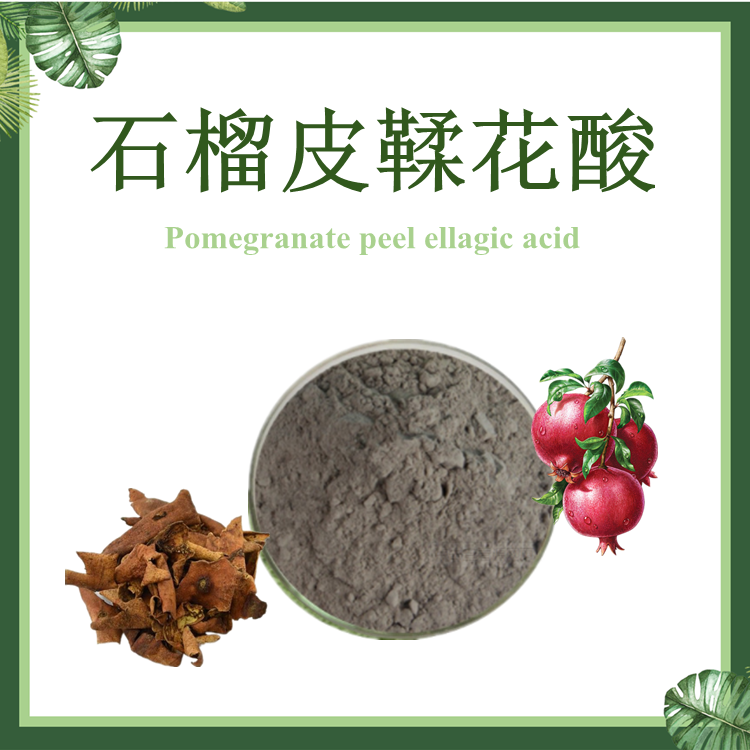 现货供应 鞣花酸10%-90% 石榴皮鞣花酸