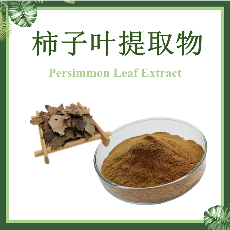 柿子叶提取物 20:1 柿叶提取物 现货供应