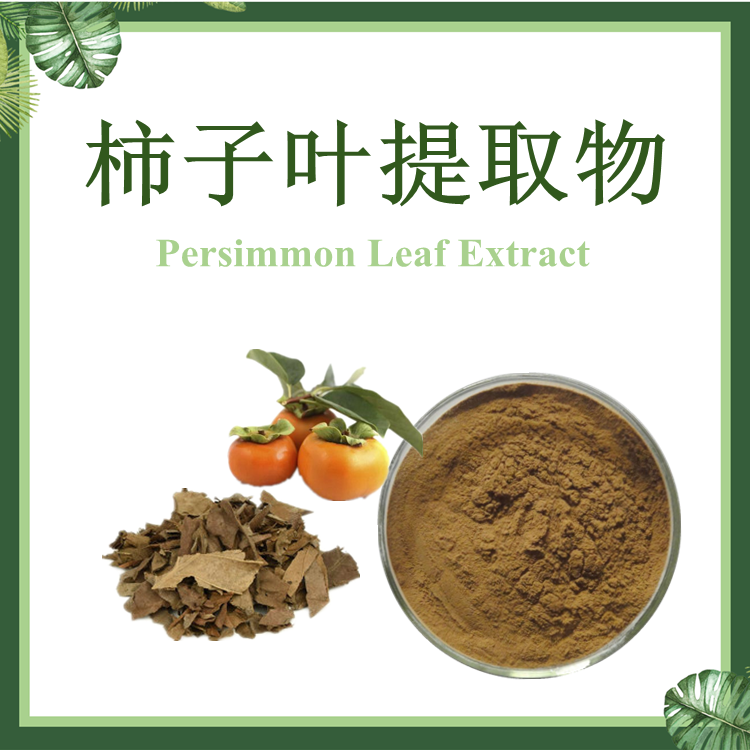 现货供应：柿子叶提取物 10:1 柿叶提取物