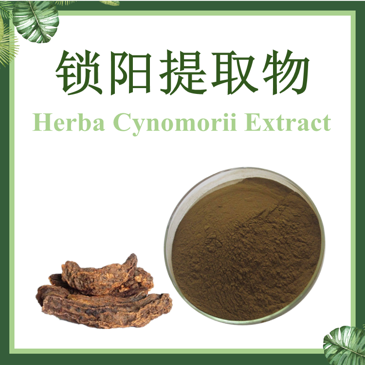 现货供应：锁阳提取物 10:1 乌兰高腰提取物