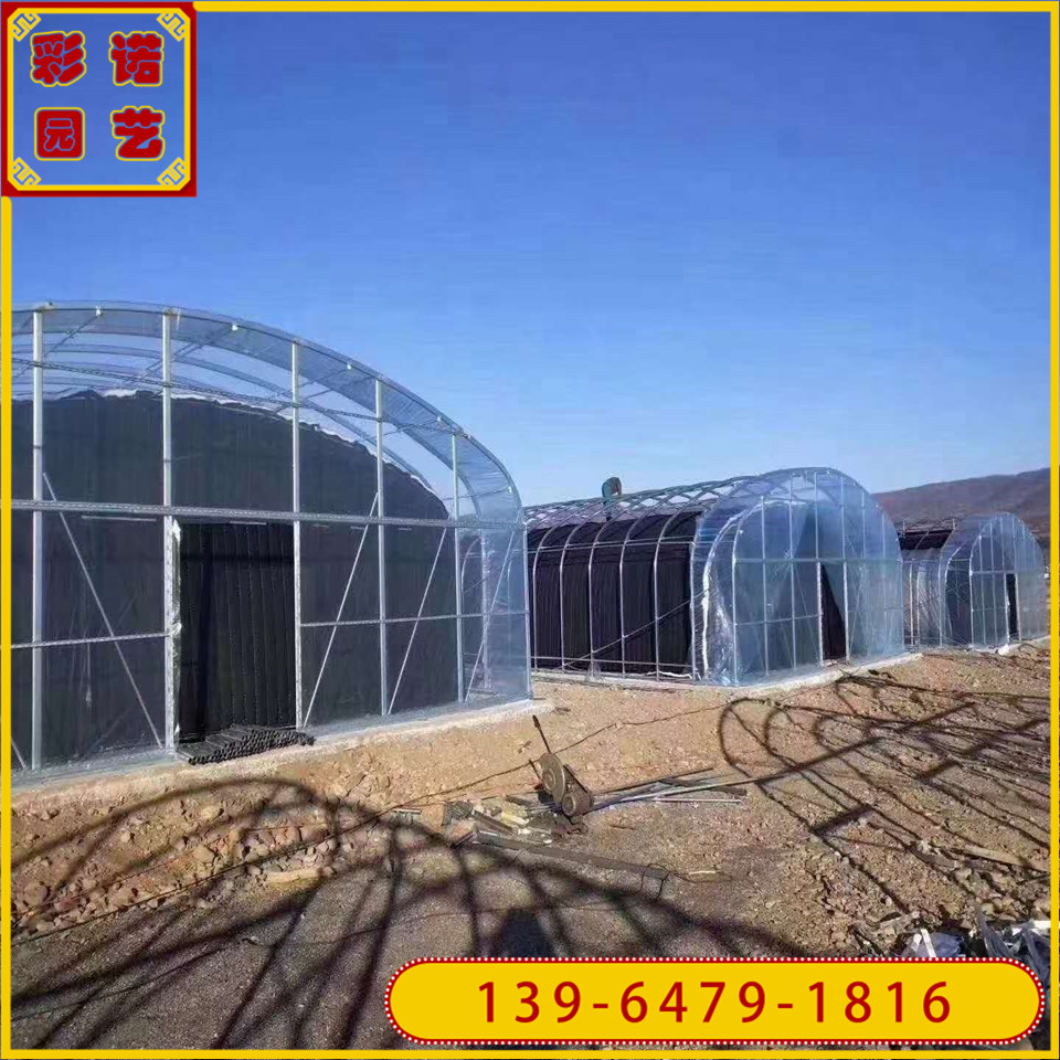 育苗薄膜温室建造价格 连体温室大棚 双供双膜加岩棉保温大棚